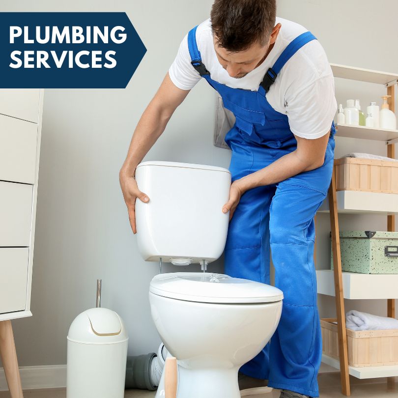 Plumbing Company in Ipava, IL